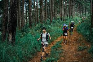 BIB: 
                            <button type="button" onclick="openModal(25669857)" class="btn btn-primary btn-sm float-right btn-popup" data-toggle="modal" data-target=".modal-high-quality">
                        <i class="fas fa-shopping-cart"></i> Add to Cart
                    </button>
                                            <button type="button" onclick="isThisMe(25669857, true)" class="btn btn-success btn-sm float-right btn-popup btn-isme hidden" data-toggle="tooltip" data-placement="bottom" title="นี่คือรูปของคุณใช่ไหม คลิกที่นี่เพื่อเอาเข้าอัลบั้ม">
                        <i class="fas fa-plus"></i> Add to album
                    </button>
                    <button type="button" onclick="isThisMe(25669857, false)" class="btn btn-warning btn-sm float-right btn-popup btn-isnotme hidden">
                        <i class="fas fa-ban"></i> Remove from album
                    </button>